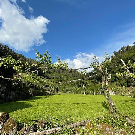 Villa Casa Museu Lagar De Azeite Terras de Bouro Esterno foto